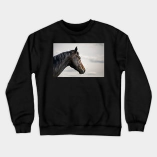 A horse portrait Crewneck Sweatshirt